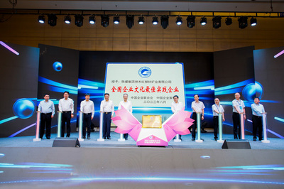 互联网文化活动的魅力与多样性